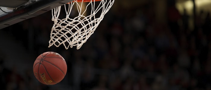 合作伙伴 - 美国职业篮球联赛NBA标志